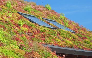 Spring End living roof systems