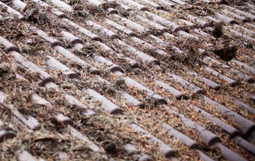 Spring End roof cleaning companies