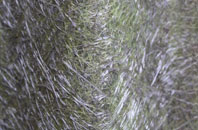 Spring End fibreglass roof work